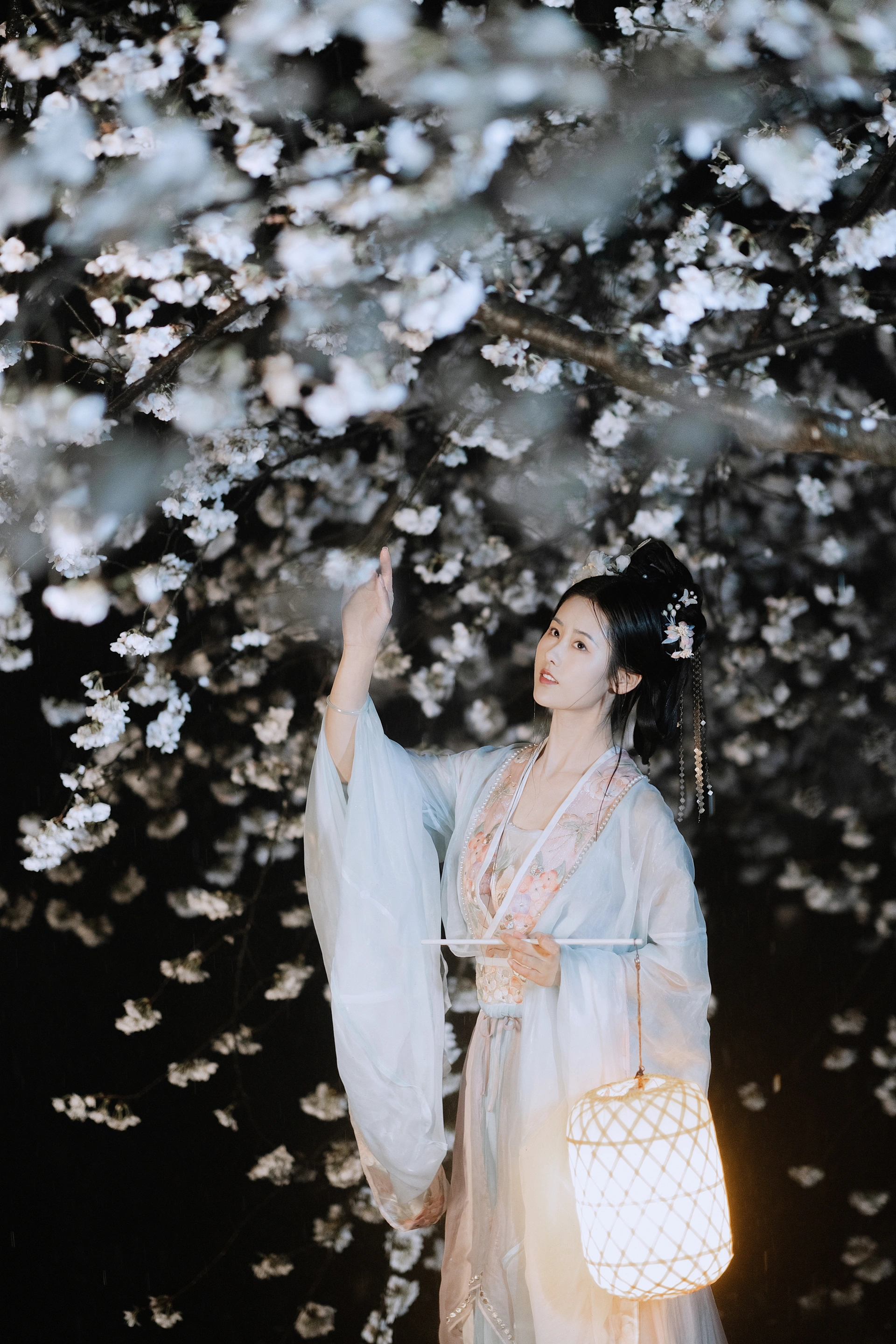 [YITUYU艺图语]2023.09.24 夜雨赏樱 人间月-素尘 2